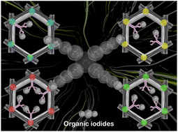 Graphical abstract: Unraveling mechanistic insights into covalent organic frameworks for highly efficient sequestration of organic iodides from simulated nuclear waste