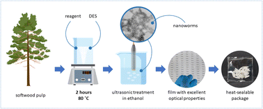 Graphical abstract: Glass-like transparent and heat-sealable films of cellulose nanoworms via ethanol triggered swelling of esterified cellulose