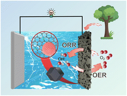 Graphical abstract: Mn-doped Co nanoparticles on wood-derived monolithic carbon for rechargeable zinc–air batteries