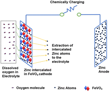 Graphical abstract: A novel aqueous zinc-ion battery capable of self-charging at low temperature