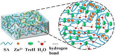 Graphical abstract: Advanced electrolyte with high stability and low-temperature resistance for zinc-ion batteries