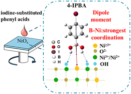 Graphical abstract: Unraveling the modification effect at NiOx/perovskite interfaces for efficient and stable inverted perovskite solar cells