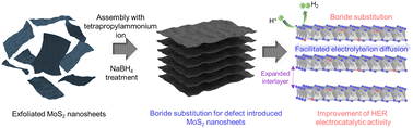 Graphical abstract: Boride-induced phase tuning of defect-introduced MoS2 nanosheets to boost the electrocatalytic hydrogen evolution reaction