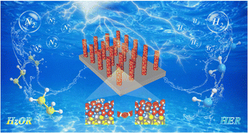 Graphical abstract: Interface engineering of amorphous/crystalline heterojunctions with synergistic Ru doping for efficient hydrazine oxidation assisted overall water splitting