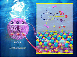 Graphical abstract: Fabrication of site activated and synergistic double vacancy ZnIn2S4 for highly efficient bifunctional photocatalysis: nitrogen reduction and oxidative degradation