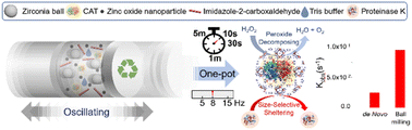 Graphical abstract: A green and ultrafast one-pot mechanochemical approach for efficient biocatalyst encapsulation in MOFs: insights from experiments and computation