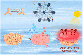 Graphical abstract: A hydrophobic–superoleophilic 2D Zr-based alkyne-rich metal–organic framework for oil/water separation and solar-assisted oil evaporation