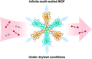 Graphical abstract: An ultramicroporous multi-walled metal–organic framework for efficient C2H2/CO2 separation under humid conditions