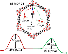 Graphical abstract: Real-time observation of the exchange process between H2O and NO in the metal–organic framework Ni-MOF-74