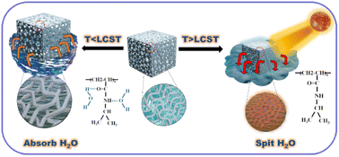 Graphical abstract: A mimosa-inspired photothermal-responsive multifunctional hydrogel for passive solar-driven efficient water purification