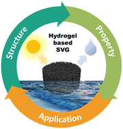 Graphical abstract: Investigation of structure–property–application relationships of a hydrogel-based solar vapor generator