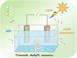 Graphical abstract: The trimetallic AuAgPt nanowires for light-enhanced formic acid electrolysis