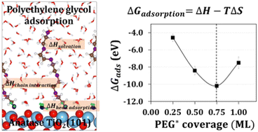 Graphical abstract: Elucidation of polyethylene glycol adsorption at the solid–H2O(l) interfaces of anatase TiO2(101) using density functional theory and molecular dynamics simulations