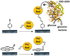 Graphical abstract: Thiol–yne click chemistry on carbon nanotubes for mediated bioelectrocatalytic glucose oxidation