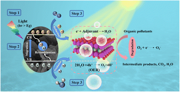 Graphical abstract: New insights into the synthesis of Sillén–Aurivillius oxyhalides: molten salts induce interlayer halogen competing reaction