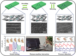 Graphical abstract: A biodegradable, highly sensitive and multifunctional mechanical sensor based on rGO-silk fibroin hydrogel for human motion detection and gesture recognition