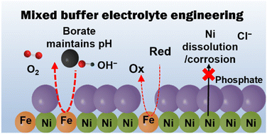 Graphical abstract: Dynamic stabilization of nickel-based oxygen evolution electrocatalysts in the presence of chloride ions using a phosphate additive
