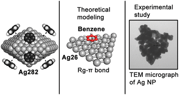 Graphical abstract: Capturing volatile organic compounds using Ag and Au nanoparticles: regium–π and C–H⋯Ag/Au interactions at work