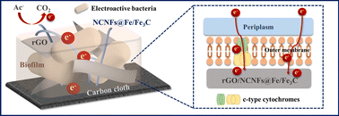 Graphical abstract: Fe/Fe3C nanoparticles in situ-doped with carbon nanofibers embedded in rGO as high-performance anode electrocatalysts of microbial fuel cells