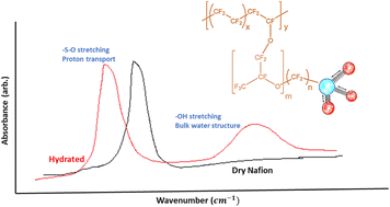 Graphical abstract: Infrared spectroscopy for understanding the structure of Nafion and its associated properties