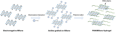 Graphical abstract: 3D nanostructured conductive PANI/MXene hydrogels for durable aqueous Zn-ion batteries