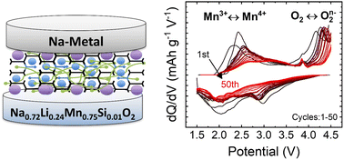 Graphical abstract: Solid-state sodium batteries with P2-type Mn-based layered oxides by utilizing anionic redox