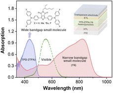 Graphical abstract: Efficient heterojunction constructed from wide-bandgap and narrow-bandgap small molecules enables dual-band absorption transparent photovoltaics