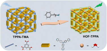 Graphical abstract: A donor–acceptor hydrogen-bonded organic framework with the turn-on fluorescence response of phenethylamine (drug analogue) via single-crystal to single-crystal transformation