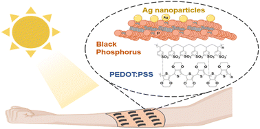 Graphical abstract: A PEDOT:PSS nanocomposite film doped with black phosphorus modified with silver nanoparticles for wearable photothermoelectric generators