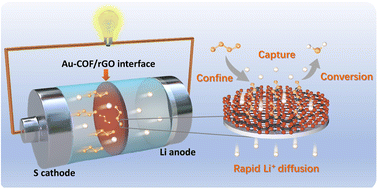 Graphical abstract: Regulating the kinetic behaviours of polysulfides by designing an Au–COF interface in lithium–sulfur batteries