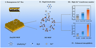 Graphical abstract: In situ defect engineering in a multifunctional layer with strong zincophilicity and high Zn-ion conductivity on Zn anodes