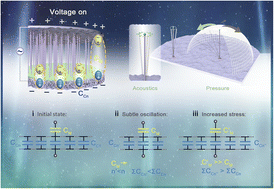 Graphical abstract: A cilia-inspired micropatterned sensor with a high-permittivity dielectric hydrogel for ultrasensitive mechanoreception both in air and underwater