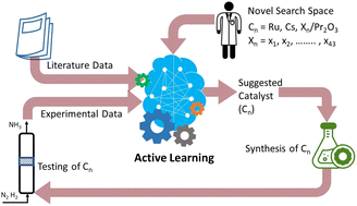 Graphical abstract: Experimental discovery of novel ammonia synthesis catalysts via active learning