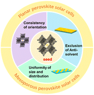 Graphical abstract: Templated-seeding renders tailored crystallization in perovskite photovoltaics: path towards future efficient modules