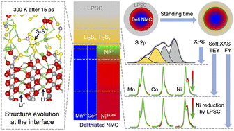 Graphical abstract: Interfacial degradation of the NMC/Li6PS5Cl composite cathode in all-solid-state batteries