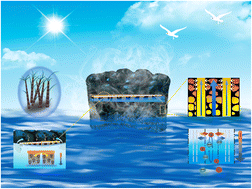 Graphical abstract: A porous dome array evaporator for high-performance photothermal water evaporation and thermoelectric power generation