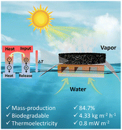 Graphical abstract: Mass production of biodegradable porous foam for simultaneous solar evaporation and thermoelectricity generation