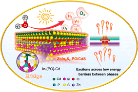 Graphical abstract: Interfacial phosphate-like “bridge” mediates bulk charge and surface oxygenated-intermediate migration for efficient photoelectrochemical water splitting