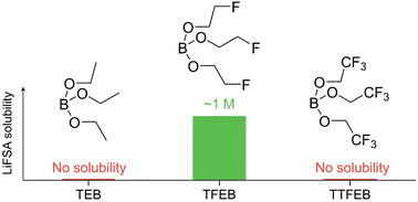 Graphical abstract: Fluorination promotes lithium salt dissolution in borate esters for lithium metal batteries