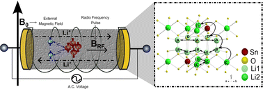 Graphical abstract: Combining NMR and impedance spectroscopy in situ to study the dynamics of solid ion conductors