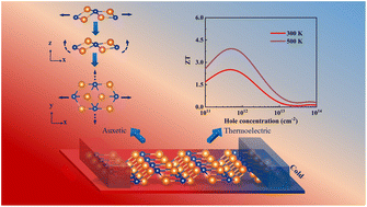 Graphical abstract: A multifunctional Mg2Si monolayer with negative Poisson's ratio and ultrahigh thermoelectric performance at room temperature