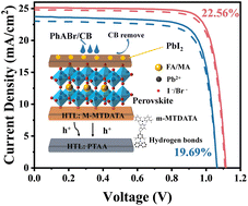 Graphical abstract: Comprehensive interface engineering based on target anchoring agents for efficient and stable inverted perovskite solar cells
