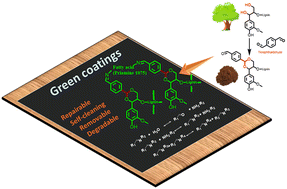 Graphical abstract: Preparation of lignin-based imine vitrimers and their potential application as repairable, self-cleaning, removable and degradable coatings