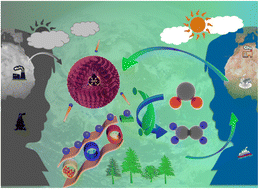 Graphical abstract: Highly selective photothermal conversion of CO2 to ethylene using hierarchical boxwood ball-like Weyl semimetal WTe2 catalysts