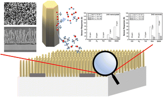 Graphical abstract: Ethanol sensing mechanism of ZnO nanorods revealed by DRIFT spectroscopy and DFT calculations