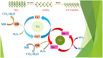 Graphical abstract: A novel Cu single-atom catalyst prepared through the adsorption characteristics of MoS2: from preparation to application