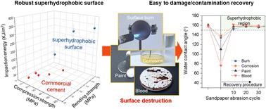 Graphical abstract: Transition from the Wenzel to Cassie–Baxter state by PFOTES/TiO2 nanoparticles leading to a mechanically robust and damage/contamination-recoverable surface