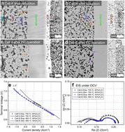 Graphical abstract: Integrated 3D modeling unravels the measures to mitigate nickel migration in solid oxide fuel/electrolysis cells