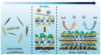 Graphical abstract: Green synthesis of heterolayered 2D nanohybrid catalytic hydrogel cell for environmentally-friendly water splitting