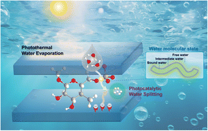 Graphical abstract: Impact of functional groups on cellulose nanofibers on the state of water molecules, photocatalytic water splitting, and photothermal water evaporation
